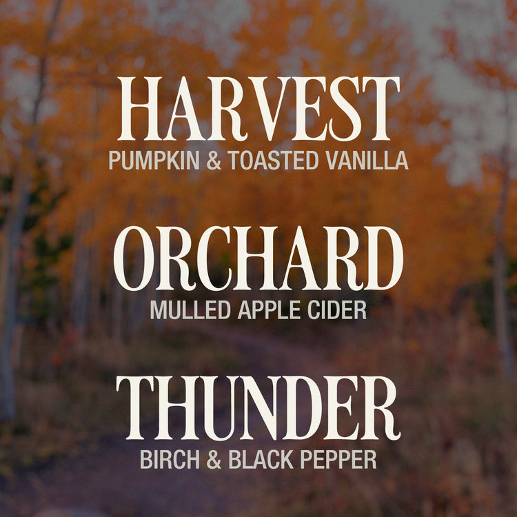 Autumn Classics - Seasonal Collection