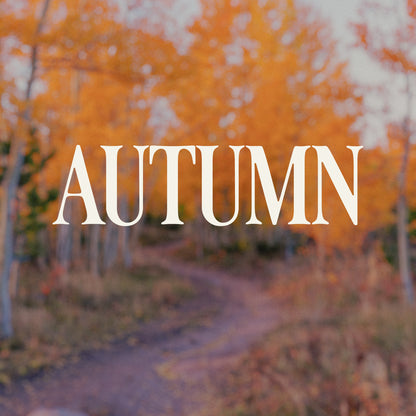 Autumn Trio - Seasonal Collection